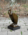 Bronzová socha Supa - mrchožravého ptáka