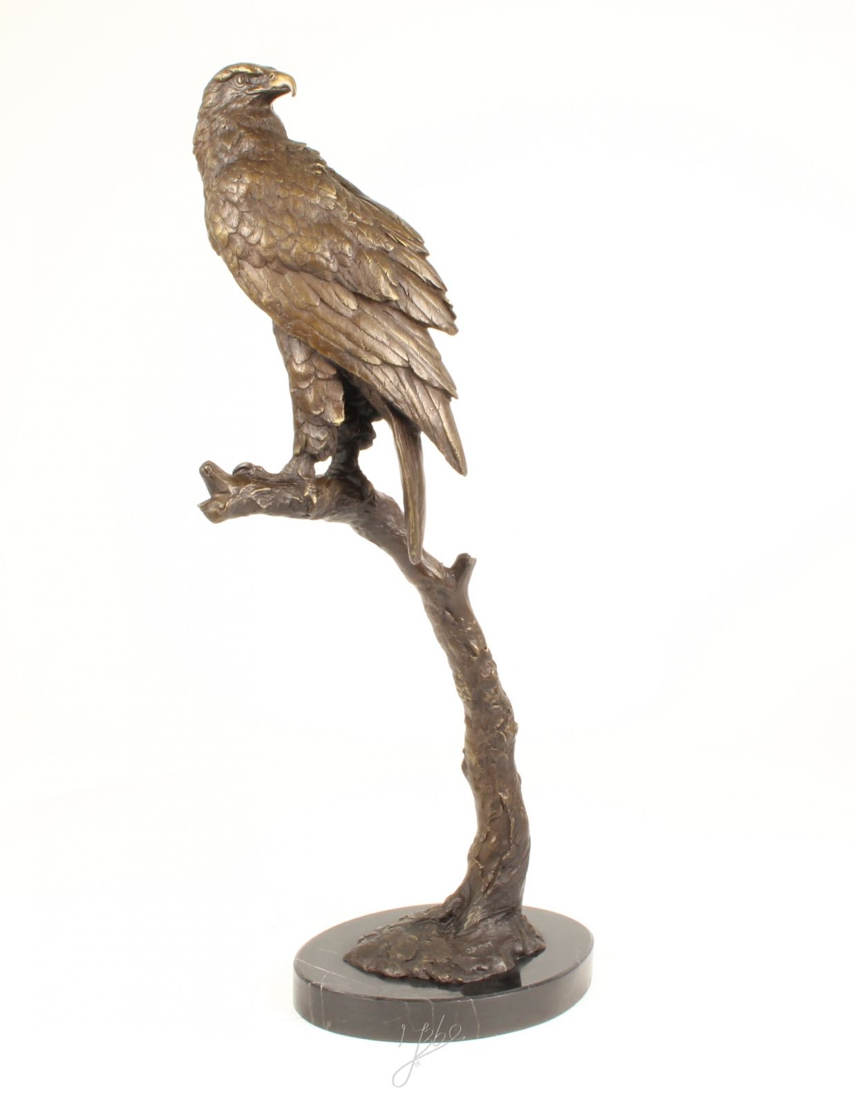 Bronzová socha orla mořského