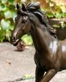Bronzový kůň 1