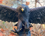 Luxusní velká bronzová socha soška orla