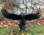 Luxusní velká bronzová socha soška orla